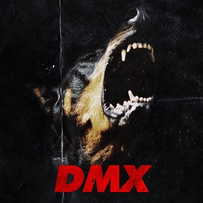DMX/BIMI