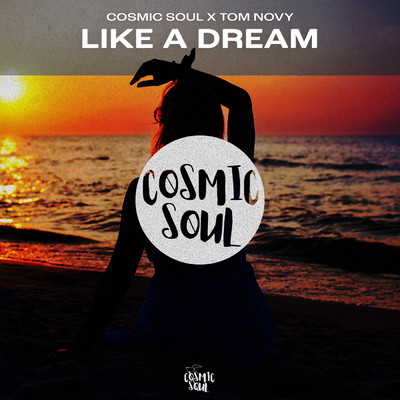 Like A Dream (Radio Edit)/Cosmic Soul／Tom Novy