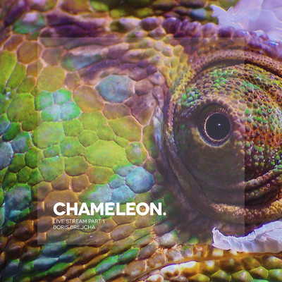 アルバム/Chameleon/Boris Brejcha