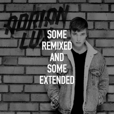 Some Remixed and Some Extended/Adrian Lux
