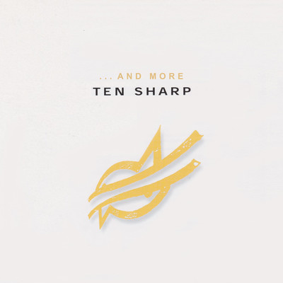 The Heart Of The Matter (Clean)/Ten Sharp