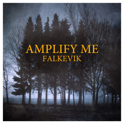 Amplify Me/Falkevik