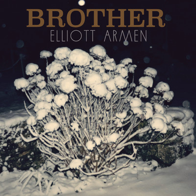 Brother/Various Artists