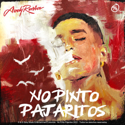シングル/No Pinto Pajaritos/Andy Rivera