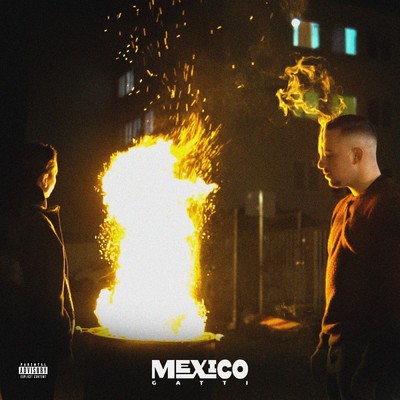 Mexico/Various Artists