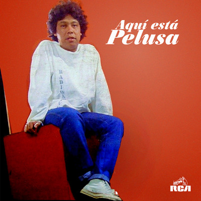 アルバム/Aqui Esta/Pelusa