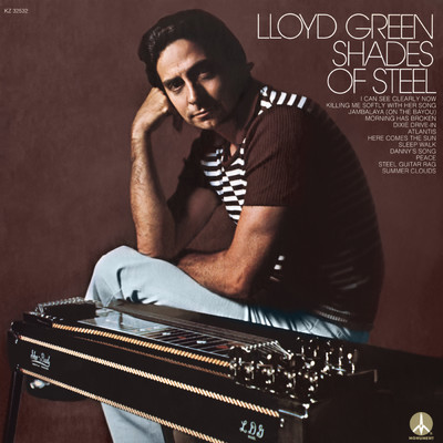 I Can See Clearly Now/Lloyd Green