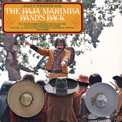 Anytime of the Year (Bashana Haba'ah)/Julius Wechter／Baja Marimba Band