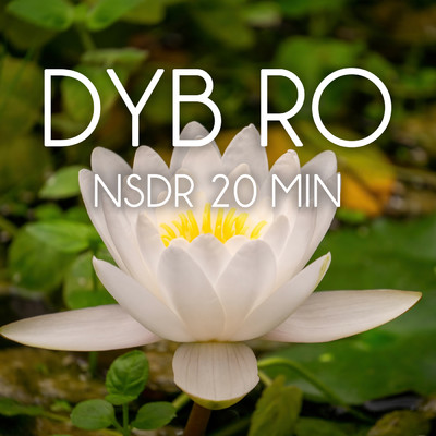 アルバム/NSDR 20 min/Dyb Ro