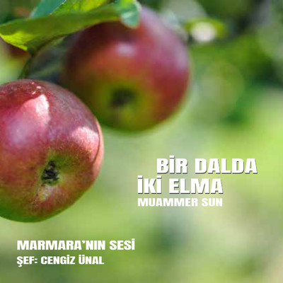 Bir Dalda Iki Elma/Various Artists