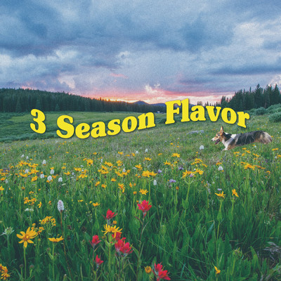 3Season Flavor/Kadi Korgi