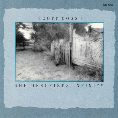 アルバム/She Describes Infinity/Scott Cossu