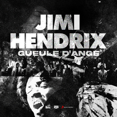 Jimi Hendrix (Explicit)/Various Artists