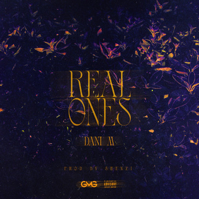 シングル/REAL ONES (Explicit)/Dani M