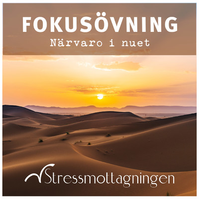 アルバム/Fokusovning - Narvaro i nuet/Stressmottagningen