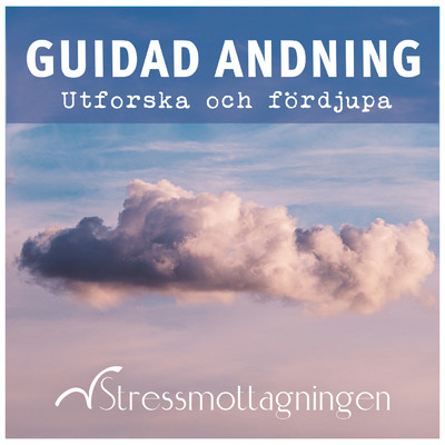 Guidad andning - Utforska och fordjupa, del 1/Stressmottagningen
