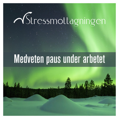 アルバム/Medveten paus under arbetet/Stressmottagningen