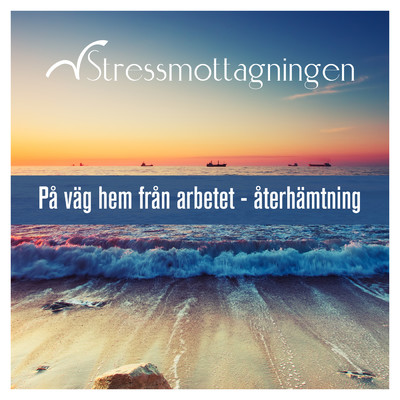 アルバム/Pa vag hem fran arbetet - aterhamtning/Stressmottagningen
