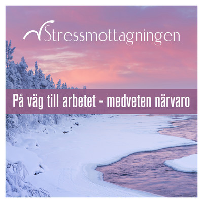 アルバム/Pa vag till arbetet - medveten narvaro/Stressmottagningen