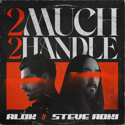 2 Much 2 Handle/Alok／Steve Aoki