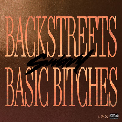 Backstreets and Basic Bitches (Explicit)/Swavy