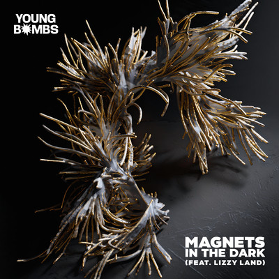 Magnets in the Dark feat.Lizzy Land/Young Bombs