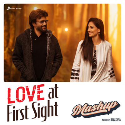 Love at First Sight Mashup/Binu Shiva
