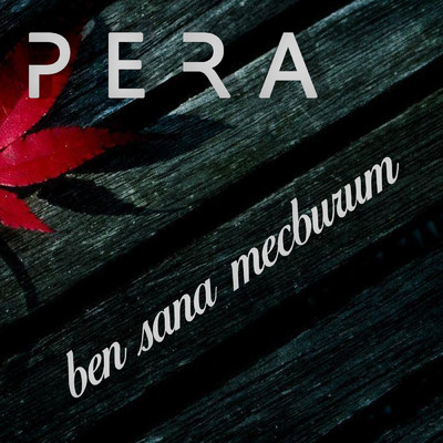 Ben Sana Mecburum/Various Artists