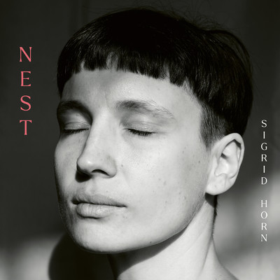 Nest/Americo