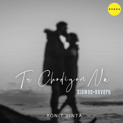 シングル/Tu Chodiyon Na (Slowed + Reverbed)/Ronit Vinta