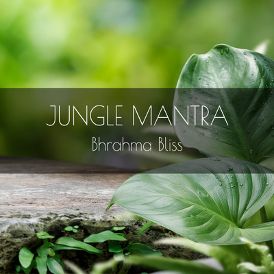 アルバム/Jungle/Brahma Bliss