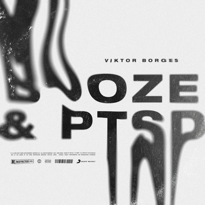 BOOZE & PTSD (Explicit)/Various Artists