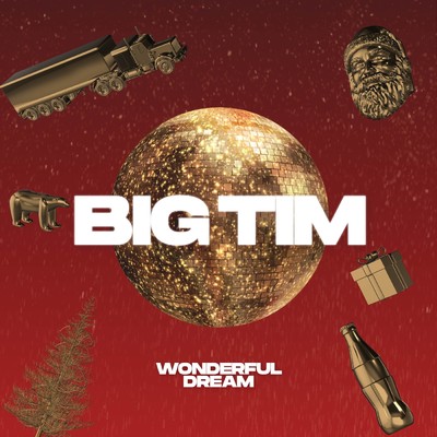 Wonderful Dream/BIG TIM