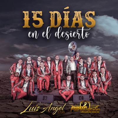 15 Dias en el Desierto (En Vivo)/Various Artists
