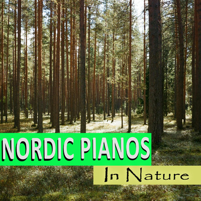 Dreaming Of Raining Day/Nordic Pianos