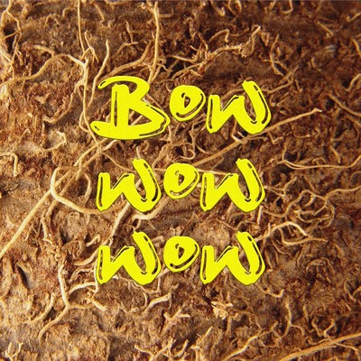 bow wow wow (Explicit)/chillwagon