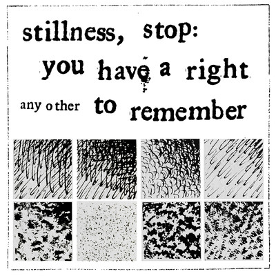 stillness, stop: you have a right to remember/Any Other