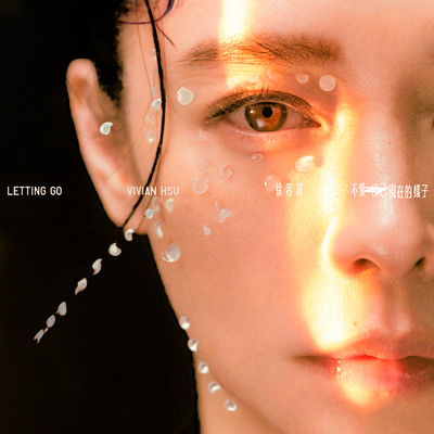 シングル/Letting Go (TV Series ”A Wonderful Journey” Ending Song)/Vivian Hsu