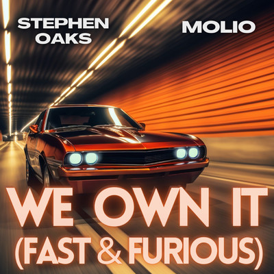 シングル/WE OWN IT (FAST & FURIOUS)/Stephen Oaks／Molio