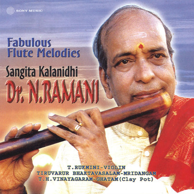 Percussion Solo/Dr. N. Ramani
