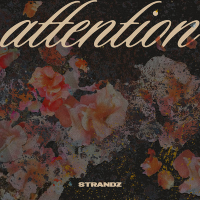 シングル/Attention (Explicit)/Strandz