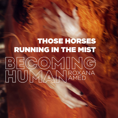 Those horses running in the mist/Roxana Amed