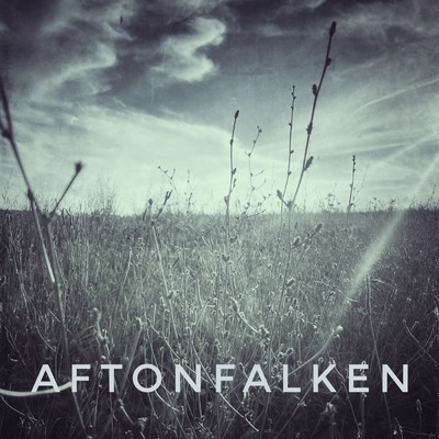 シングル/Aftonfalken/Eva Dahlgren