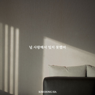 I couldn't forget you because I loved you/Kim Dong Ha