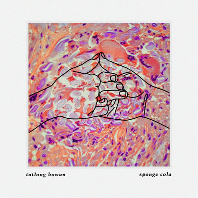 シングル/Tatlong Buwan/Sponge Cola