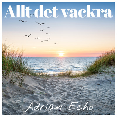 シングル/Allt det vackra (Sped Up)/Adrian Echo