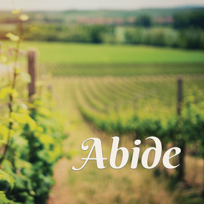 Abide/Lifeway Worship