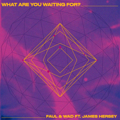 シングル/What Are You Waiting For/Faul & Wad／James Hersey