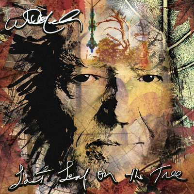 Last Leaf On The Tree (Explicit)/Willie Nelson
