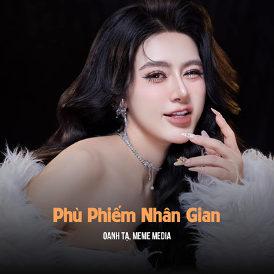 シングル/Phu Phiem Nhan Gian (ZZ Remix)/MeMe Media